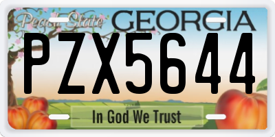 GA license plate PZX5644