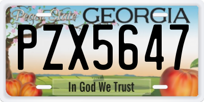 GA license plate PZX5647