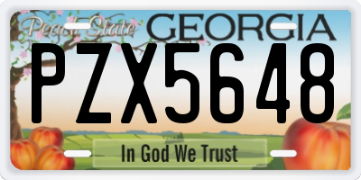 GA license plate PZX5648