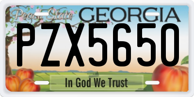 GA license plate PZX5650