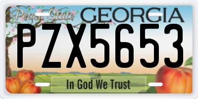 GA license plate PZX5653