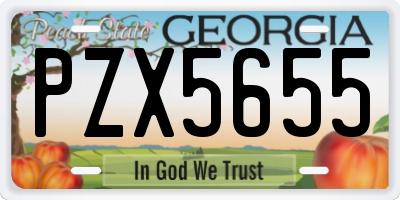 GA license plate PZX5655