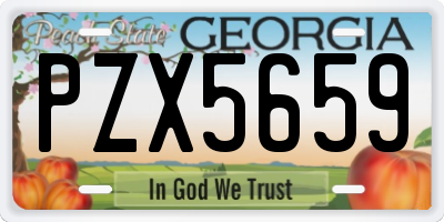 GA license plate PZX5659