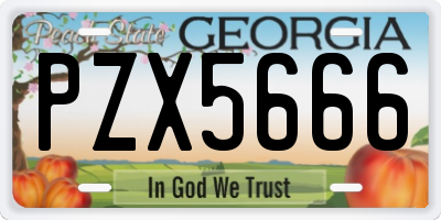 GA license plate PZX5666