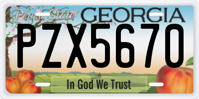 GA license plate PZX5670