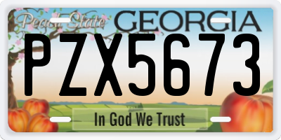 GA license plate PZX5673