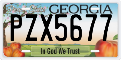 GA license plate PZX5677