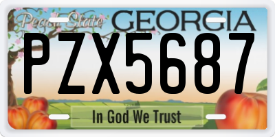 GA license plate PZX5687