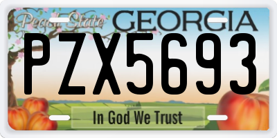 GA license plate PZX5693