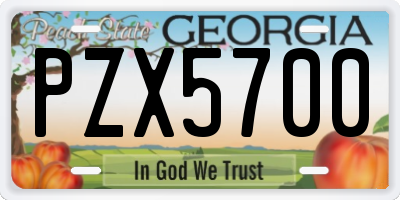 GA license plate PZX5700