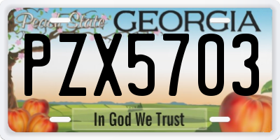GA license plate PZX5703