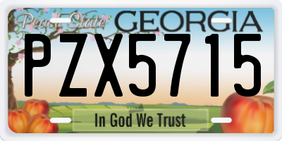 GA license plate PZX5715