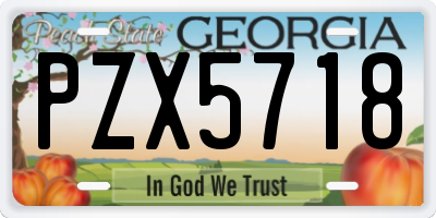 GA license plate PZX5718