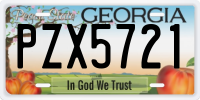 GA license plate PZX5721