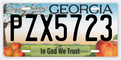 GA license plate PZX5723