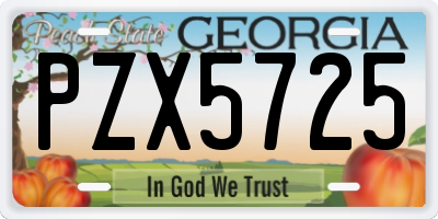 GA license plate PZX5725