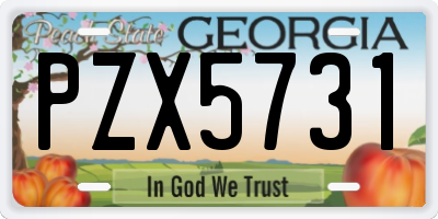 GA license plate PZX5731