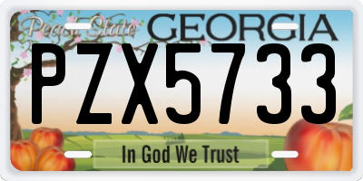 GA license plate PZX5733