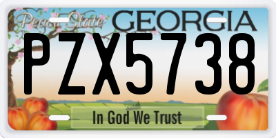 GA license plate PZX5738