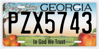 GA license plate PZX5743