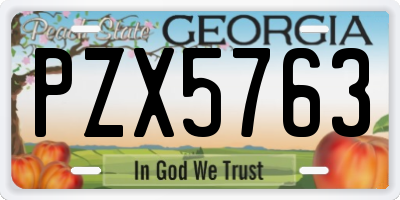 GA license plate PZX5763