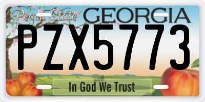 GA license plate PZX5773