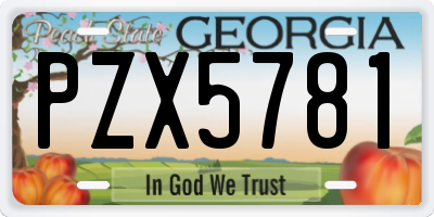 GA license plate PZX5781