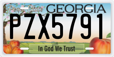 GA license plate PZX5791