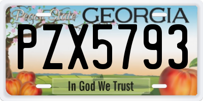 GA license plate PZX5793