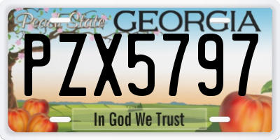 GA license plate PZX5797