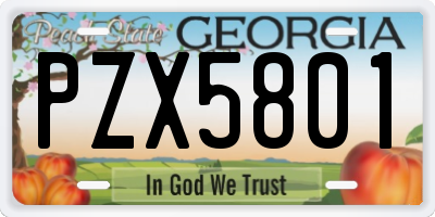 GA license plate PZX5801