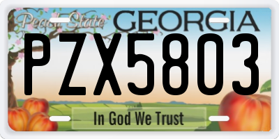 GA license plate PZX5803