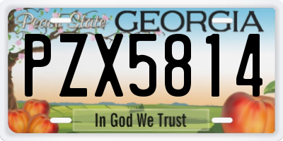 GA license plate PZX5814