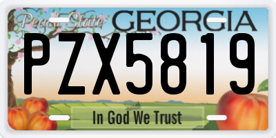 GA license plate PZX5819