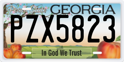 GA license plate PZX5823
