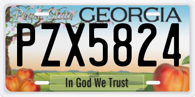 GA license plate PZX5824