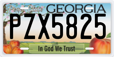 GA license plate PZX5825