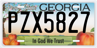 GA license plate PZX5827