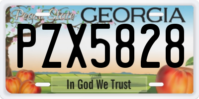 GA license plate PZX5828