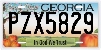 GA license plate PZX5829