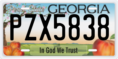 GA license plate PZX5838