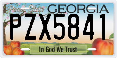GA license plate PZX5841