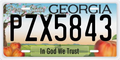 GA license plate PZX5843