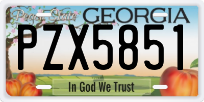 GA license plate PZX5851