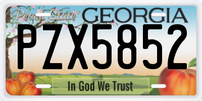 GA license plate PZX5852