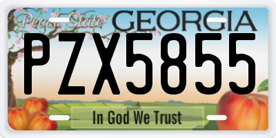 GA license plate PZX5855