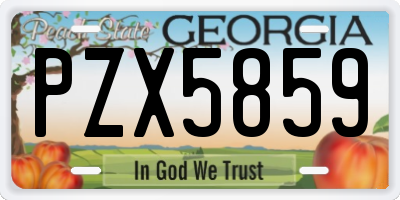 GA license plate PZX5859
