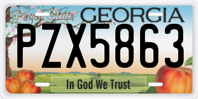 GA license plate PZX5863