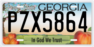 GA license plate PZX5864