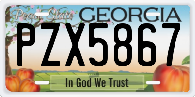 GA license plate PZX5867